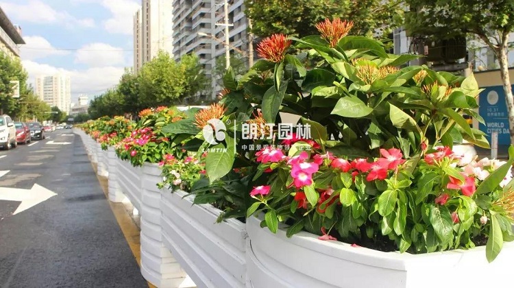 上海進(jìn)博會生態(tài)空間規(guī)劃落地項(xiàng)目